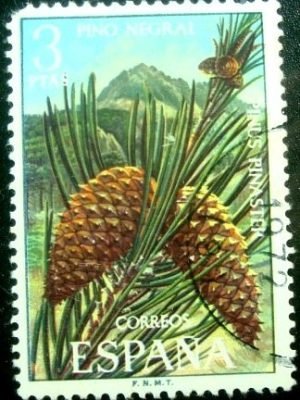 Selo postal da Espanha de 1972 Maritime Pine U