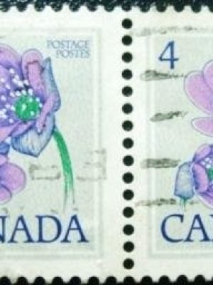 Imagem do produto ofertado - Se desejar peça mais detalhes