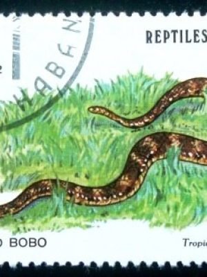 Selo postal de Cuba de 1982 Leopard Dwarf Boa