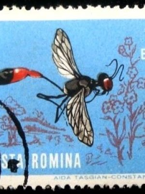 Selo postal da Romênia de 1964 Red-banded Sand Wasp