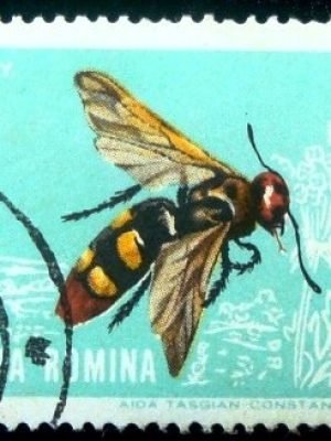 Selo postal da Romênia de 1964 Mammoth Wasp