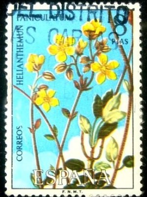 Selo postal da Espanha de 1974 Helianthemum Paniculatum