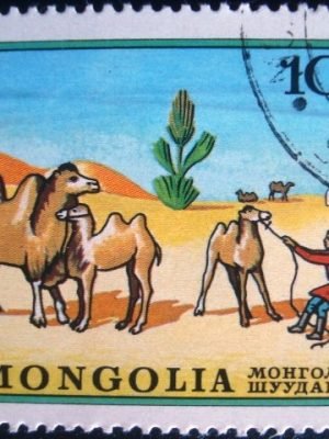 Imagem do produto ofertado - Se desejar peça mais detalhes