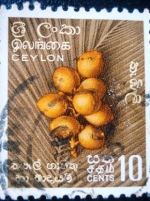 Imagem do produto ofertado - Se desejar peça mais detalhes