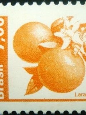 Selo postal do Brasil de 1981 Laranja - 606 N