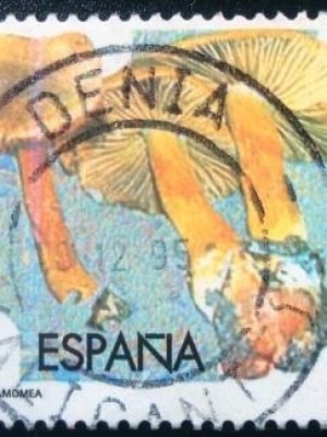 Selo postal da Espanha de 1995 Cinnamon Webcap Mushroom