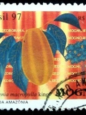Selo postal do Brasil de 1997 Mogno