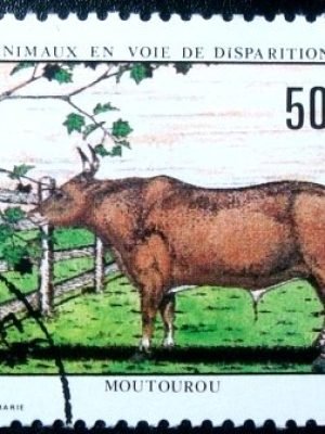 Selo postal de Camarões de 1981 African Forest Buffalo