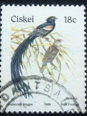 Selo postal do Ciskei de 1989 Long-tailed Widowbird