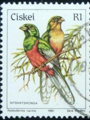 Selo postal do Ciskei de 1981 Narina Trogon