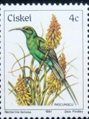 Selo postal do Ciskei de 1981 Malachite Sunbird