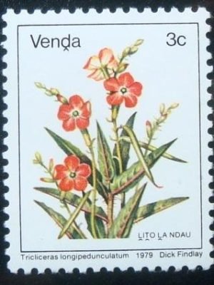 Selo postal de Venda de 1979 Tricliceras Longipedunculatum