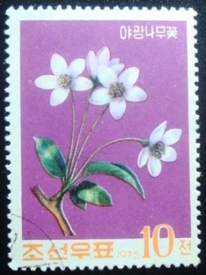 Selo postal da Coréia do Norte de 1975 Wild Apple