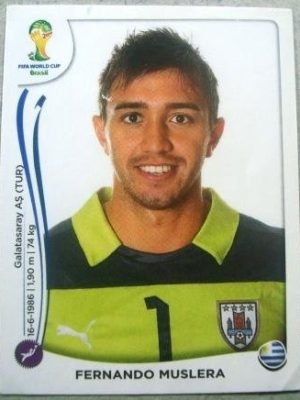Figurinha 262 - Néstor Fernando Muslera Micol - Goleiro