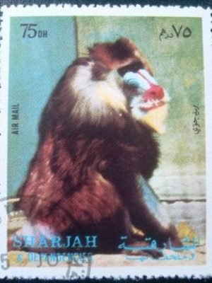 Selo postal de Sharjah de 1972 Mandrill