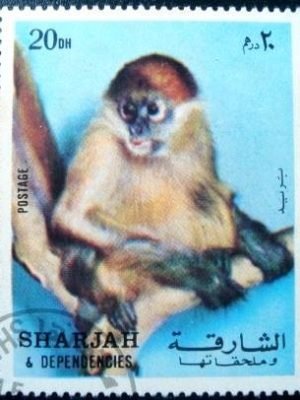 Selo postal de Sharjah de 1972 Guenon