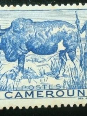 Selo postal de Camarões de 1946 Zebu