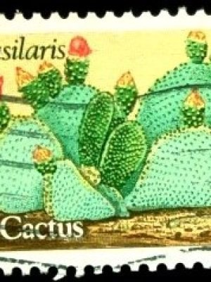 Selo postal dos Estados Unidos de 1981 Beavertail Cactus U