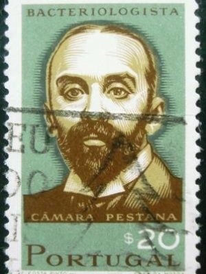 Selo postal de Portugal de 1966 Câmara Pestana - 1015 U