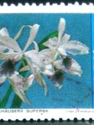 Selo postal Comemorativo do Brasil de 1971 - C 713 M