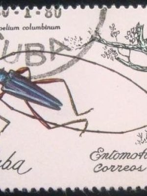 Selo postal do Cuba de 1980 Longhorn Beetle