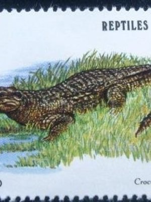 Selo postal do Cuba de 1982 Cuban Crocodile