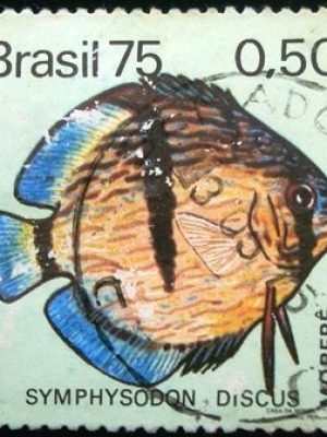 Selo postal Comemorativo do Brasil de 1975 - C 890 U