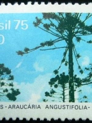 Selo postal Comemorativo do Brasil de 1975 - C 892 N