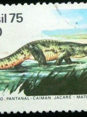 Selo postal Comemorativo do Brasil de 1975 - C 894 U
