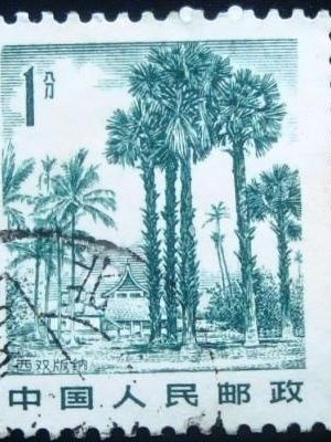 Selo postal da China de 1983 Xishuang Banna