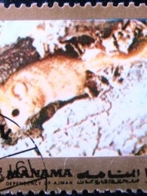 Selo postal do Manama de 1972 Mouse