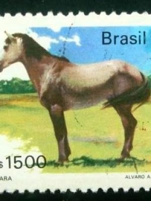 Selo postal do Brasil de 1985 Marajoara