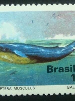 Selo postal do Brasil de 1977 Baleia Azul