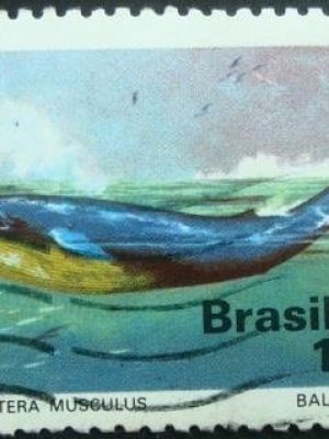 Selo Postal Comemorativo do Brasil de 1977 - C 989 U