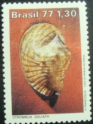 Selo postal do Brasil de 1977 Strombus Goliath - C 993 N