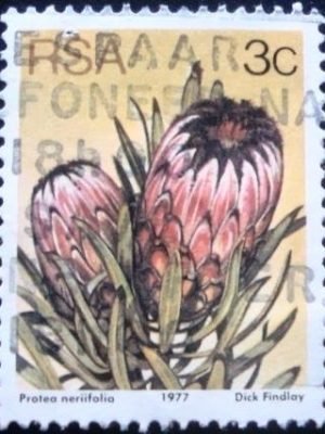 Selo postal da África do Sul de 1979 Oleanderleaf Protea