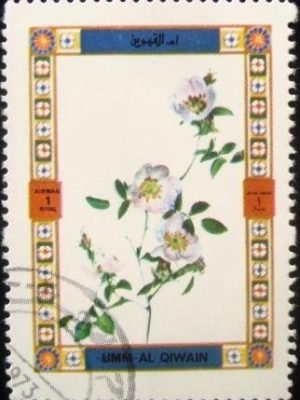 Selo postal de Umm Al Qaiwain de 1972 Roses 1445 A