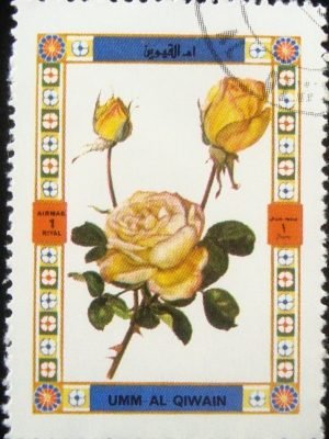 Selo postal do Umm Al Qaiwain de 1972 Roses 1440A