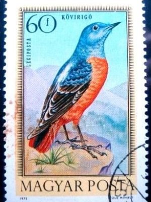 Selo postal da Hungria de 1973 Common Rock U