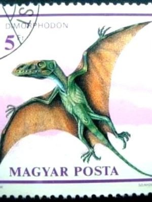 Selo postal da Hungria de 1990 Dimorphodon