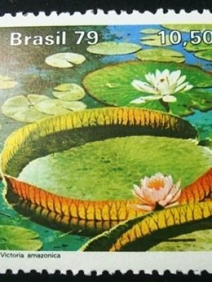 Selo postal do Brasil de 1979 Victoria Amazônica - C 1091 N