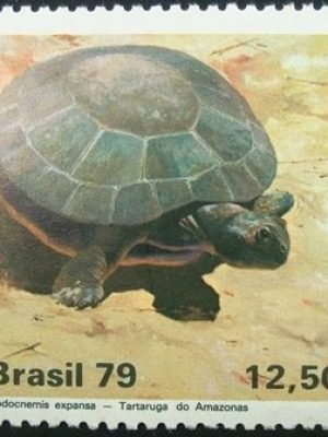 Selo postal comemorativo do Brasil de 1979 - C 1093 M