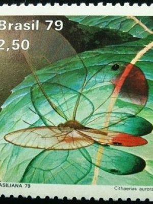 Selo postal do Brasil de 1979 Cithaerias Aurora N