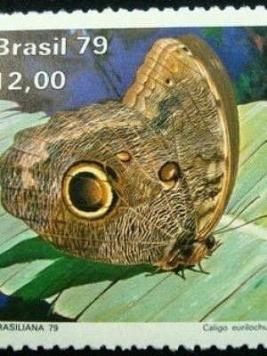 Selo postal comemorativo do Brasil de 1979 - C 1100 N