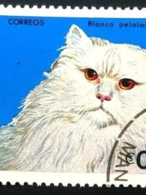 Selo postal da Nicaragua de 1984 White Longhair