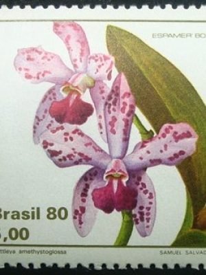 Selo postal do Brasil de 1980 Catleya