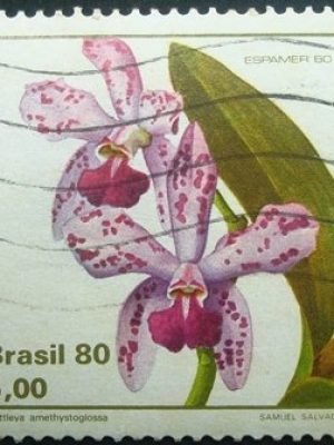 Selo postal COMEMORATIVO do Brasil de 1980 - C 1162 U