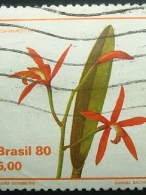 Selo postal COMEMORATIVO do Brasil de 1980 - C 1163 U