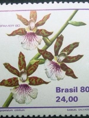 Selo postal do Brasil de 1980 Zygopetalum Crinitum