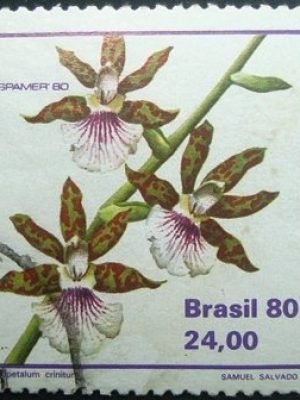 Selo postal COMEMORATIVO do Brasil de 1980 - C 1164 U